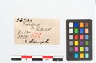 Etikett zu Bronzering (NHMW-PRAE-026304)